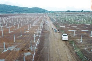 The project of Thanh Long Solar Power – Phu Yen