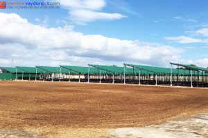 Trang trại điện năng lượng Mặt trời Đắk Lắk